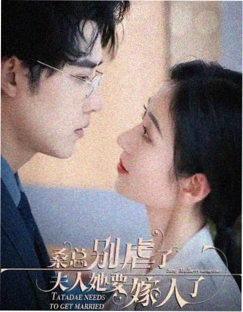 科技职场剧她的算法全集在线观看